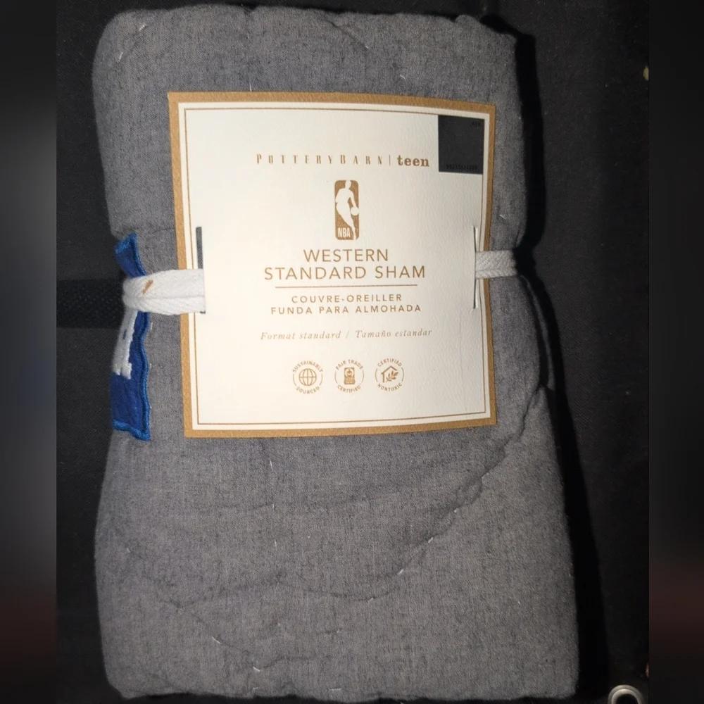 Pottery Barn Teen Western Standard Sham in Gray
